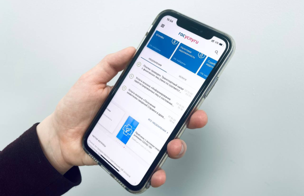 человек оспаривает штраф через госуслуги